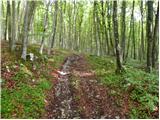 Zagorica pri Dobrniču - Lisec (Liška gora)